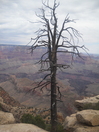 Grand Canyon National Park