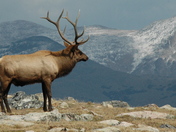 Rocky Mountain National Park