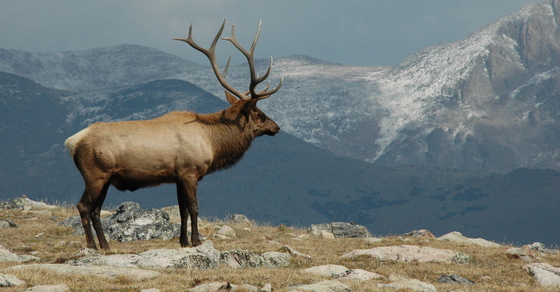 Rocky Mountain National Park