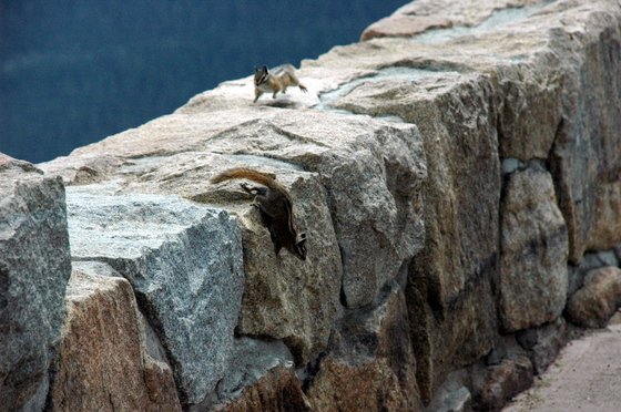 Rocky Mountain National Park