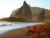 Olympic National Park