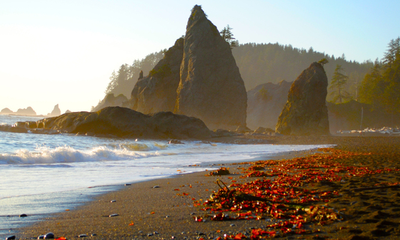 Olympic National Park