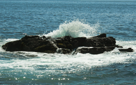 Acadia