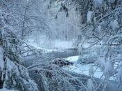 Yosemite National Park