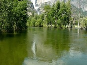 Yosemite National Park