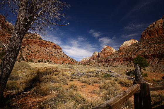 Zion National lPark