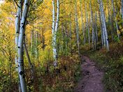 Snowmass Wilderness
