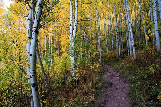 Snowmass Wilderness
