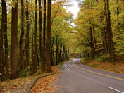 Great Smokey Mountains