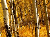 Grand Teton National Park