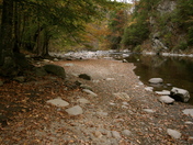 Great Smokey Mountains