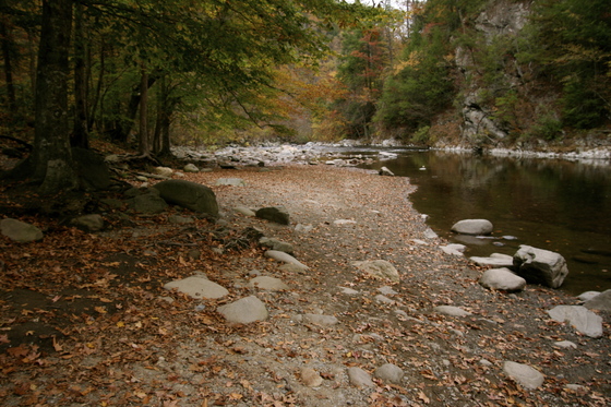 Great Smokey Mountains