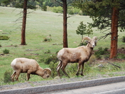 Rocky Mountain National Park