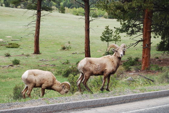 Rocky Mountain National Park