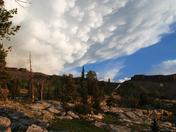 Grand Teton National Park