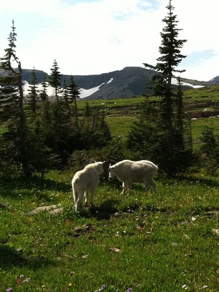 Glacier National Park
