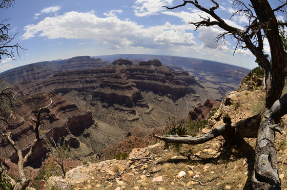 Grand Canyon