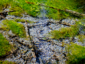 Olympic National Park