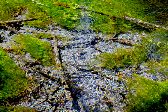 Olympic National Park