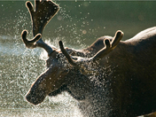 Glacier National Park