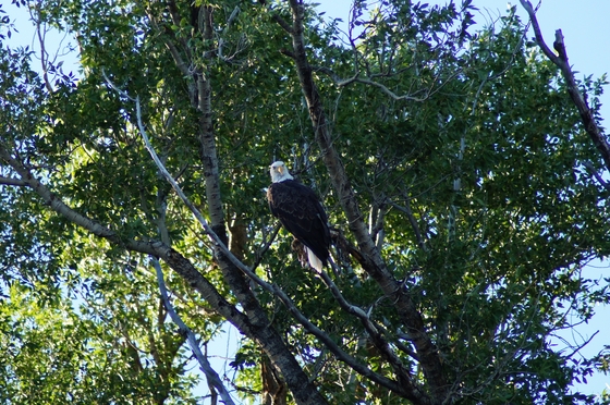 Teton NP