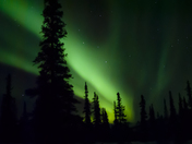 Denali National Park