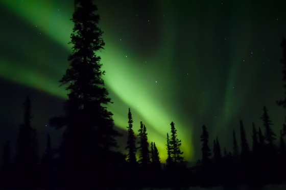 Denali National Park