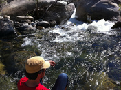 Sequoia National Forest