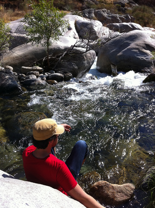 Sequoia National Forest