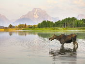 grand teton national park