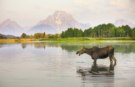 grand teton national park
