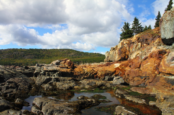 Acadia National Park 