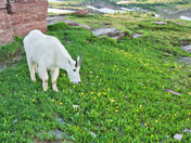 Glacier National Park