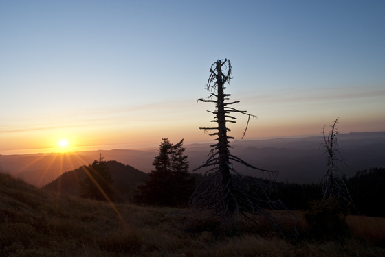 Mary's Peak