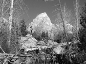 Grand Teton National Park