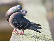 Do All Things with Love