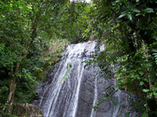 Caribean National Forest