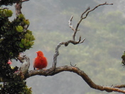 Haleakala National Park 