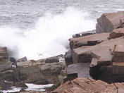 Acadia National Park