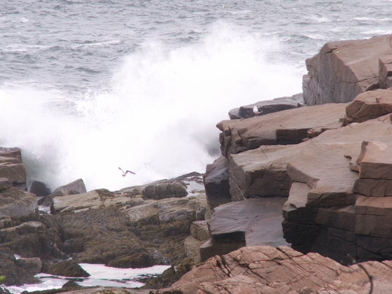 Acadia National Park