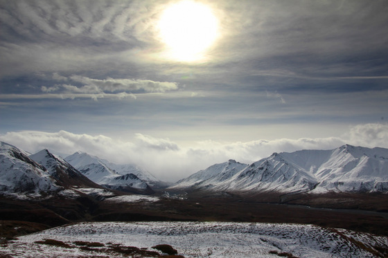 Denali National Park