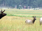 Rocky Mountain National Park