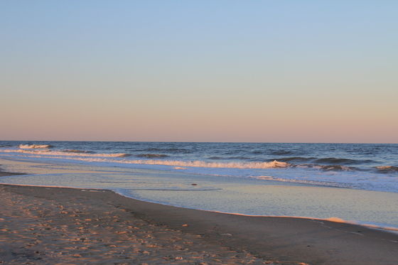 Assateague National Seashore