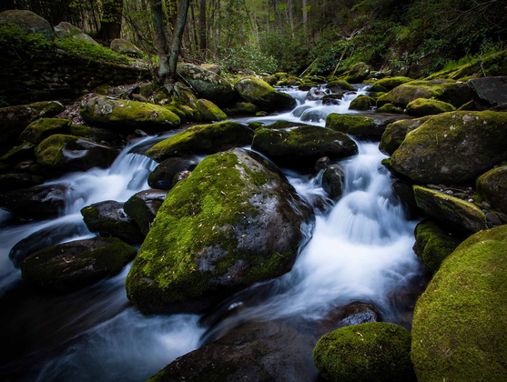 Smokey Mountains National Park