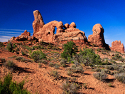 Arches National Park