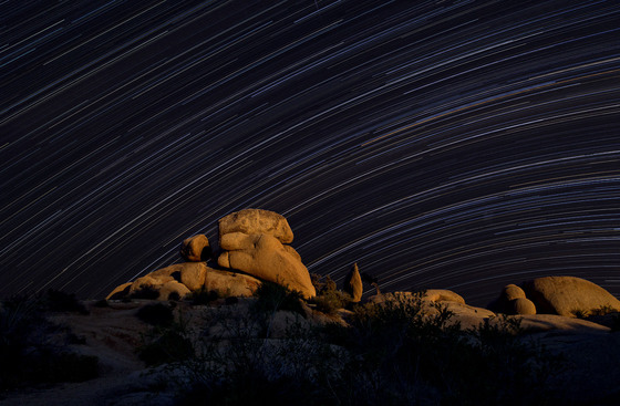 Joshua National Park