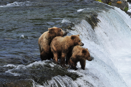 Katmai National Park & Preserve
