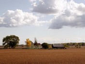 The beginnings of Fall