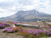 Mt. St. Helens National Park