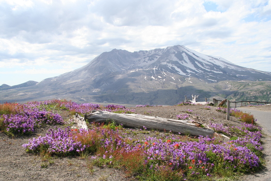 Mt. St. Helens National Park
